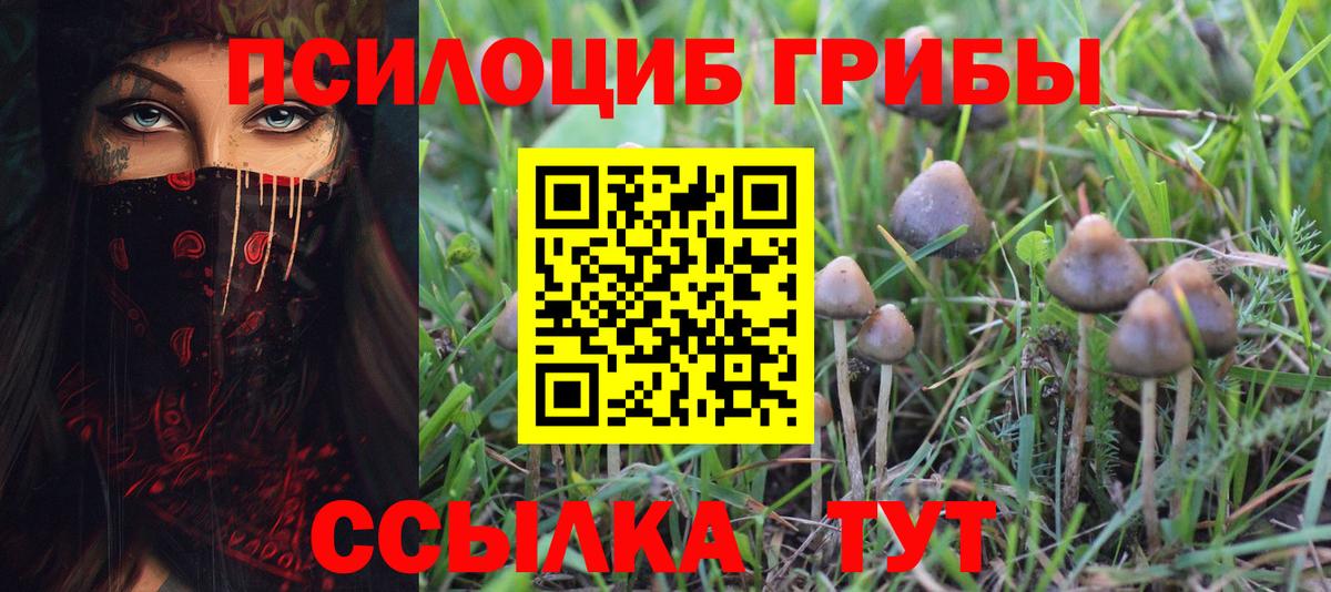 Галлюциногенные грибы мицелий  Галлюциногенные грибы GOLDEN TEACHER  Вход с VPN  Ликино-Дулёво 